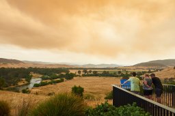 The Corryong Cup 2020